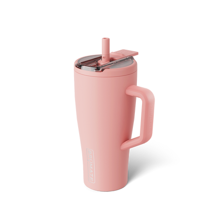 Era flip 30oz guava - US 5777