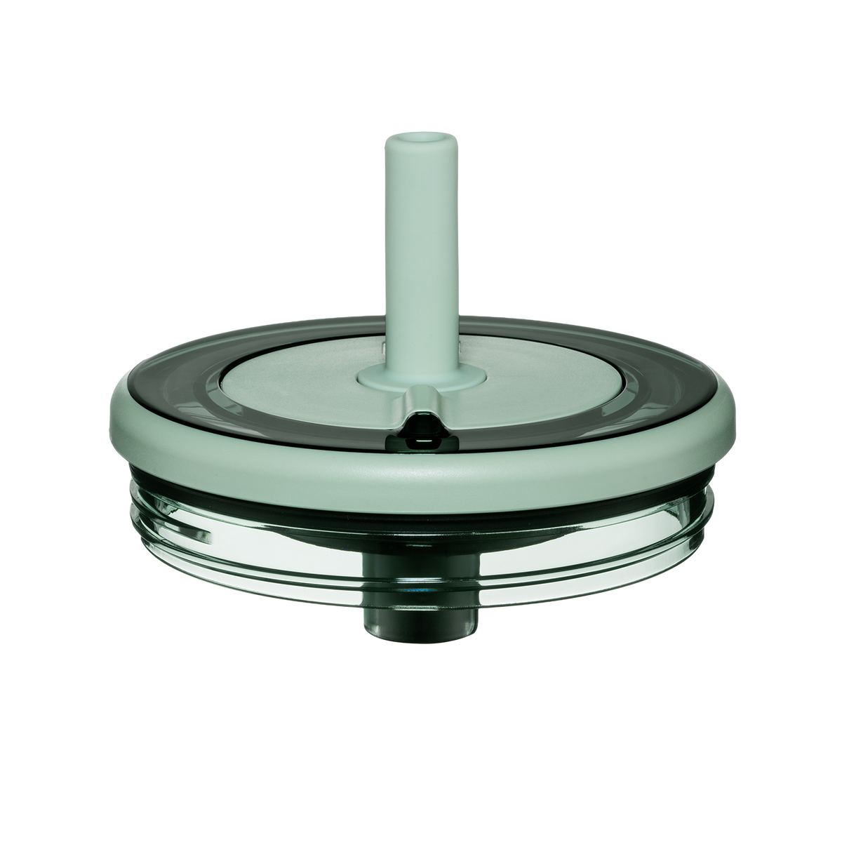 Era lid sage - US 4253